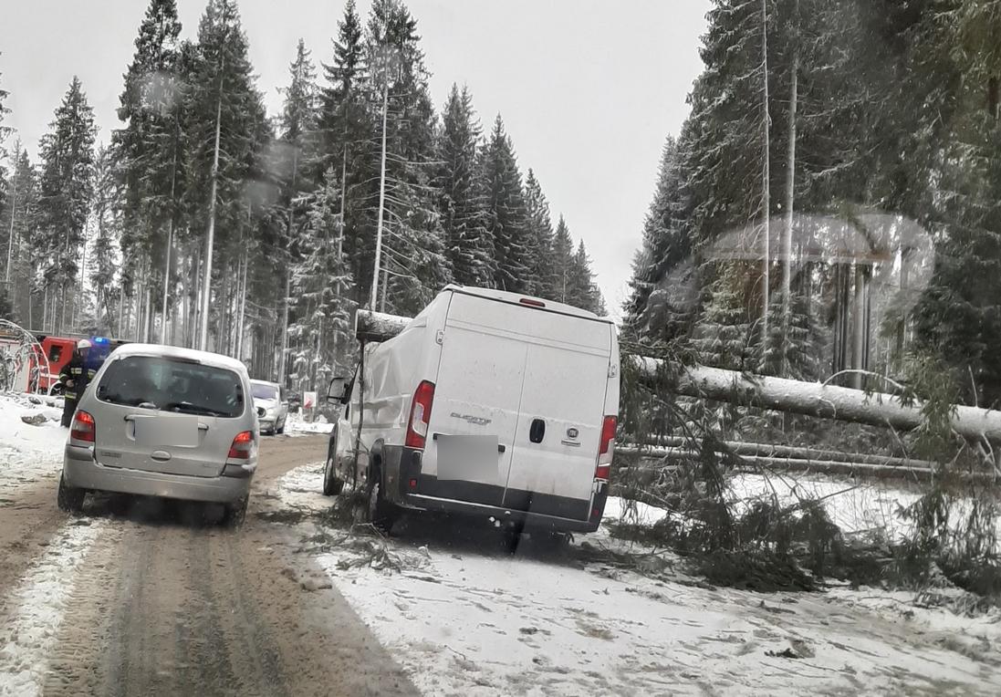 Połamane drzewa, zerwane linie energetyczne, rozbity samochód - dotychczasowy bilans dzisiejszej wichury (zdjęcia)
