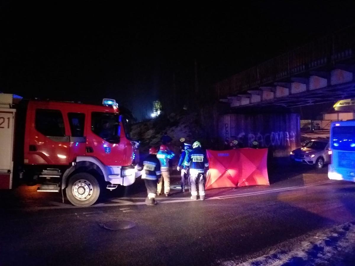 Spłoszony koń padł na jezdnię (zdjęcia)