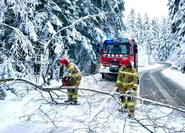 Uwaga! Mokry śnieg powala gałęzie i drzewa (zdjęcia)