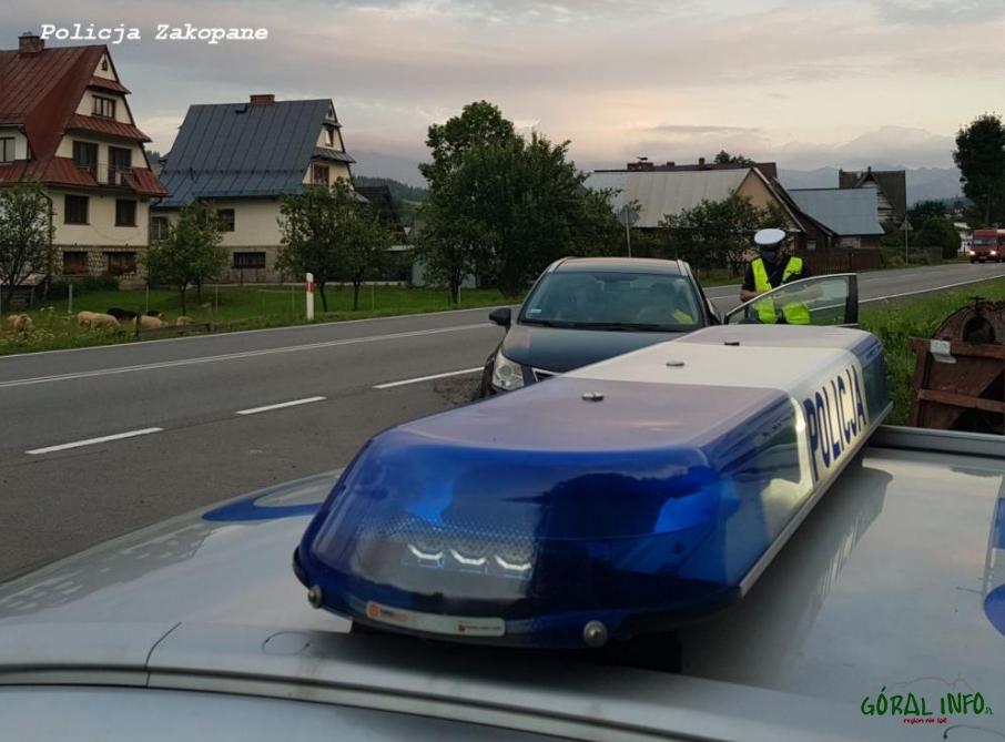 Działania „Kaskadowy pomiar prędkości“ – Podsumowanie w powiecie tatrzańskim
