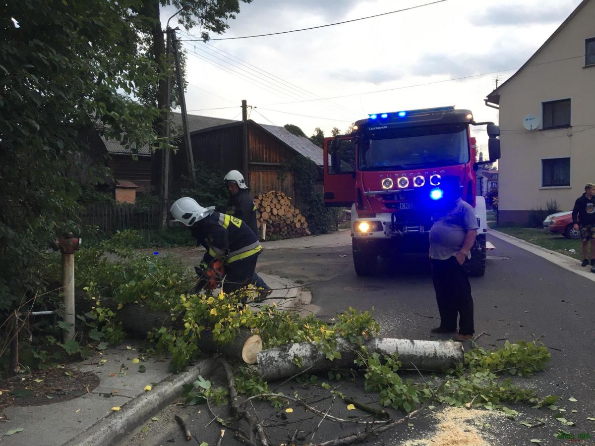 Czarny Dunajec. Strażacy usunęli drzewo zagrażające przejezdnym (zdjęcia)