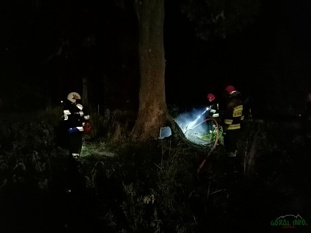 Koniówka. Pożar w drzewie (zdjęcia)