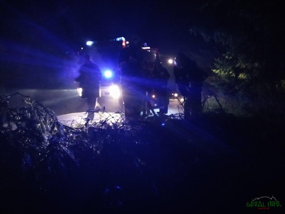 Powalone drzewa - efekt niedzielnej burzy (zdjęcia)