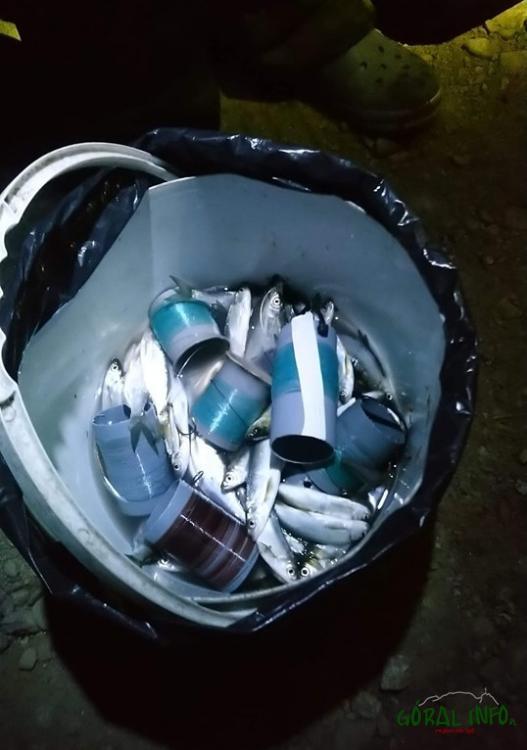 Nielegalny połów na Jeziorze Czorsztyńskim
