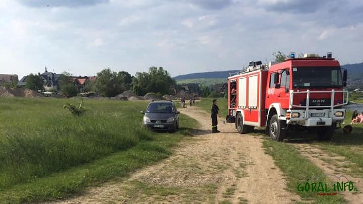 Bestialski mord psa nad rzeką w Nowym Targu