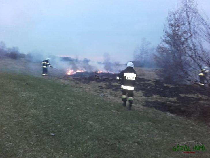 Koniówka. Kolejny pożar przy ścieżce rowerowej