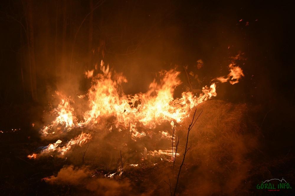Wielki pożar siana w Podczerwonem (zdjęcia)