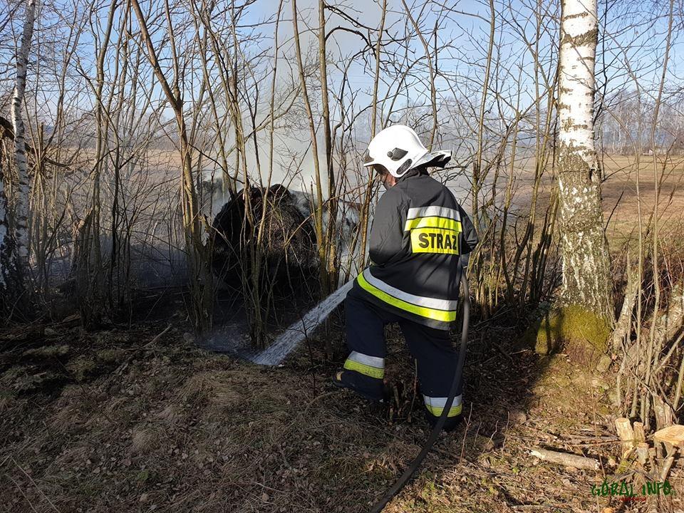 Pożar traw w Odrowążu i Czarnym Dunajcu