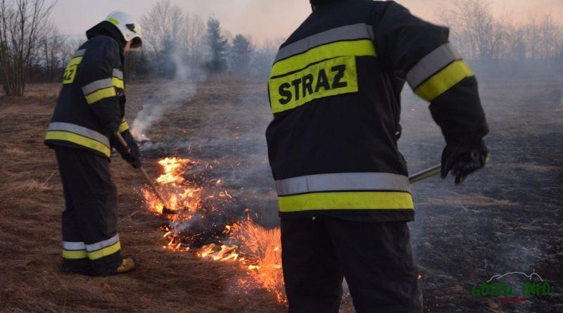 Konsekwencje wypalania traw