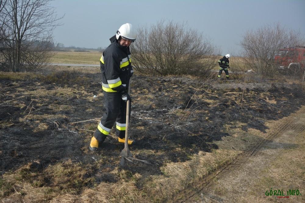 Koniówka. Pożar traw przy ścieżce rowerowej (zdjęcia)