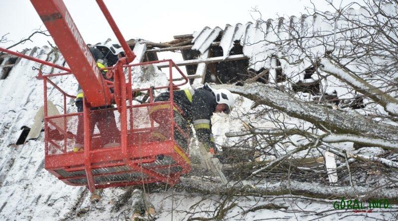 Po wichurach w Małopolsce – pomoc poszkodowanym