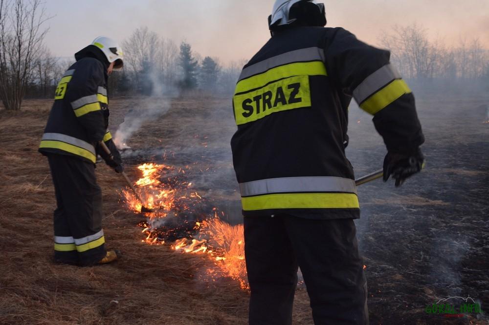 Pożary traw w Podczerwonem, Białym Dunajcu, Waksmundzie i Skawie (zdjęcia)