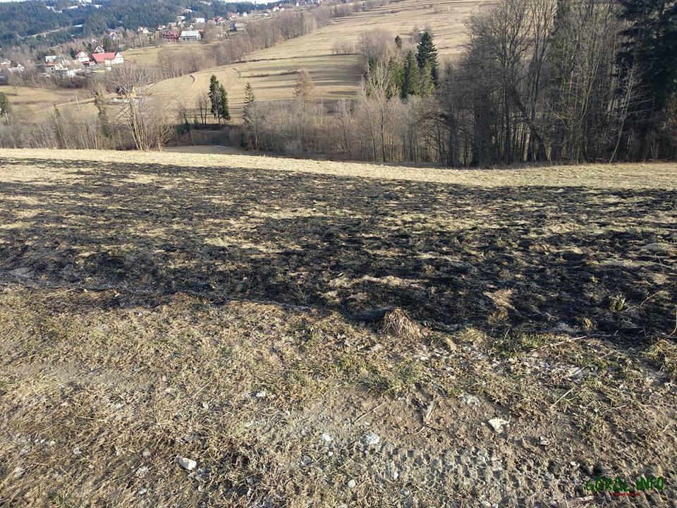 Rdzawka, Poronin, Groń - sezon na pożary traw rozpoczęty