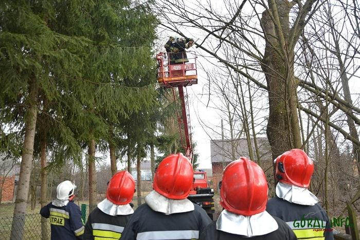 Drzewa łamią się jak zapałki. Kolejne interwencje w Czarnym Dunajcu (zdjęcia)