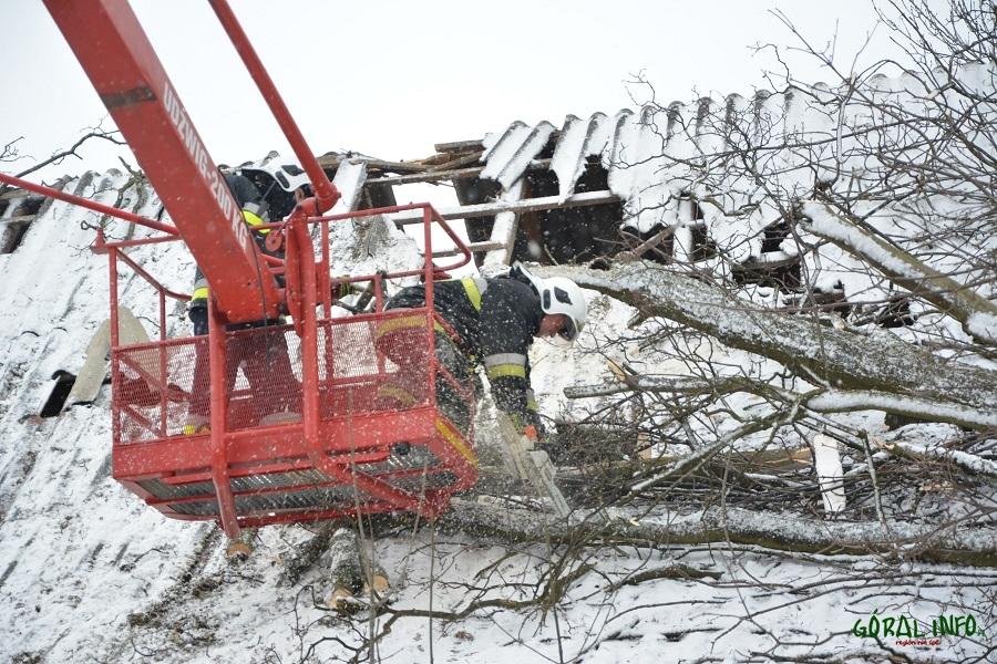 Wichury dają się we znaki. Powalone drzewa w Czarnym Dunajcu (zdjęcia)