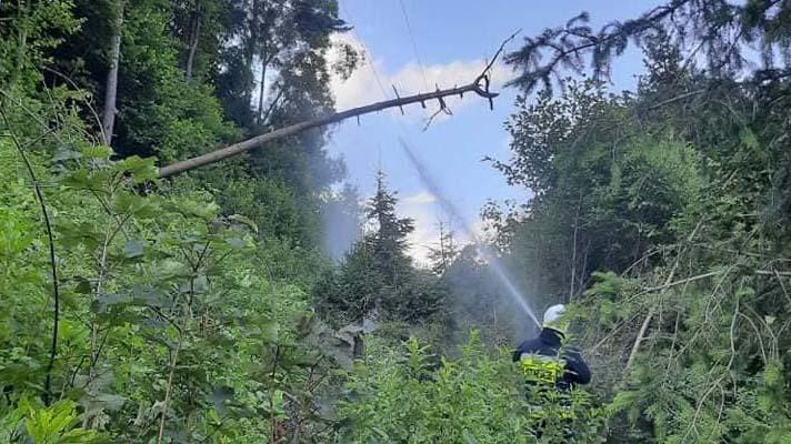 Drzewo opadało na linię energetyczną i zaczęło się palić (zdjęcia)