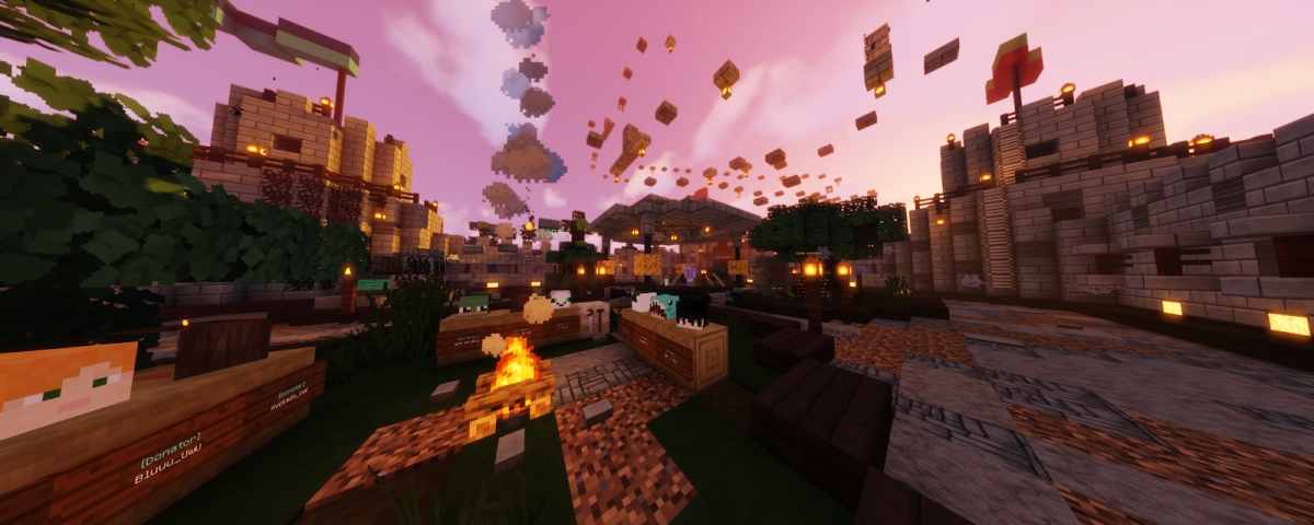 Jakie są serwery Minecraft - rodzaje