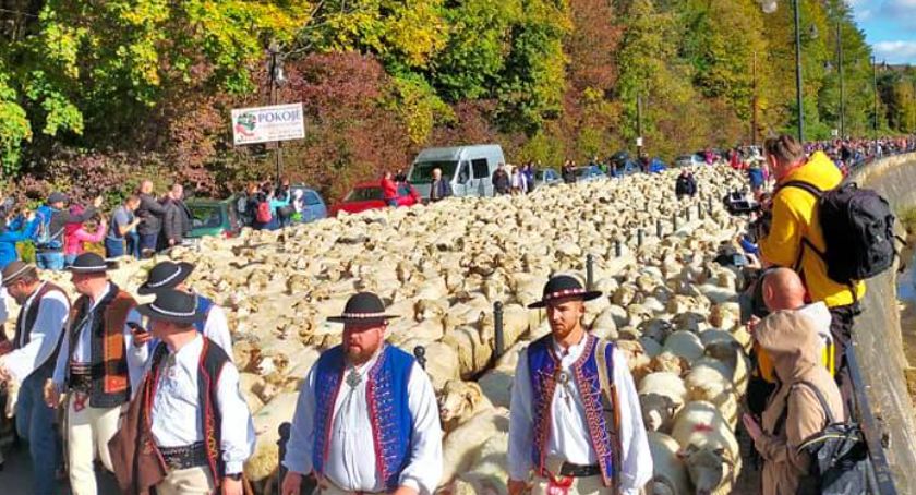 Jesienny barwny redyk ulicami Szczawnicy