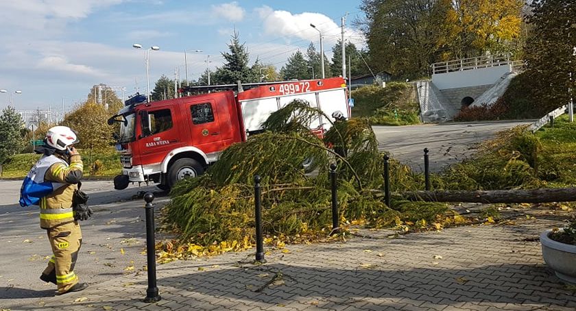 Uszkodzony dach szkoły i powalone drzewa - pierwsze straty spowodowane przez porywisty wiatr