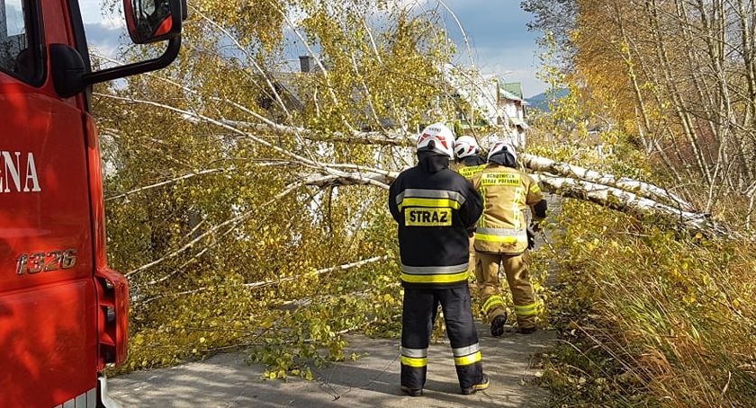 Powalone drzewa, zerwana linia elektryczna, przygnieciony garaż