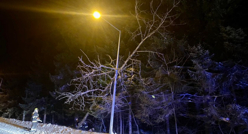 Skutki śnieżycy - powalone drzewa, uszkodzone samochody, zniszczony dach