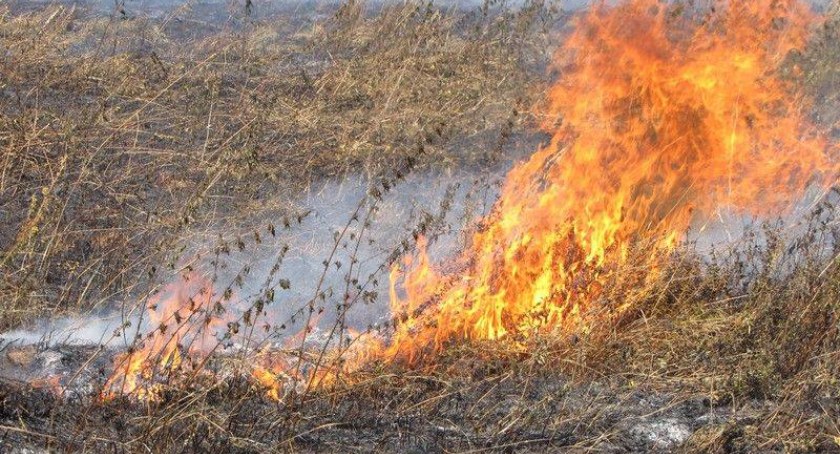 Mężczyzna znaleziony nieprzytomny wśród palących się traw