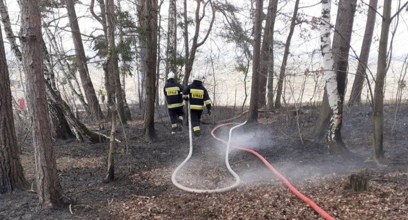 Podczas wypalania traw stracił przytomność - dobrze, że znaleźli go strażacy. Policja wyjaśnia, jak do tego doszło