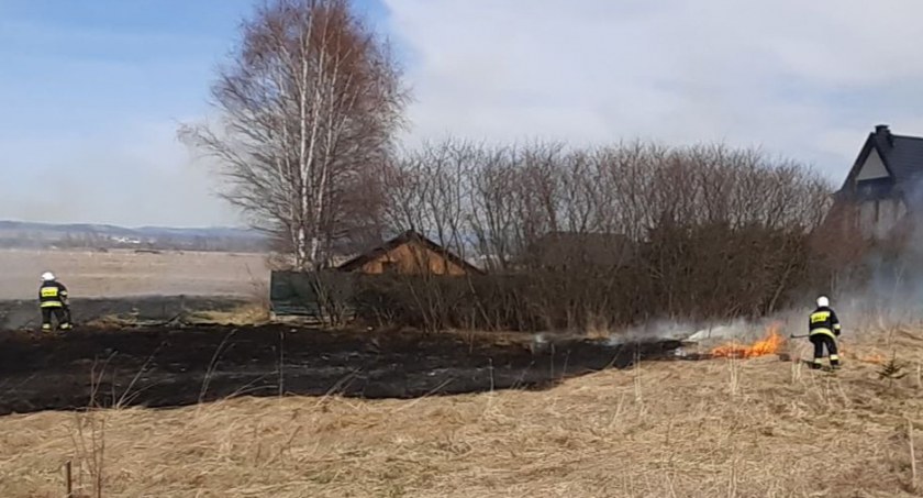 Niebezpieczny pożar traw w Czarnym Dunajcu - ogień podchodził pod zabudowania 