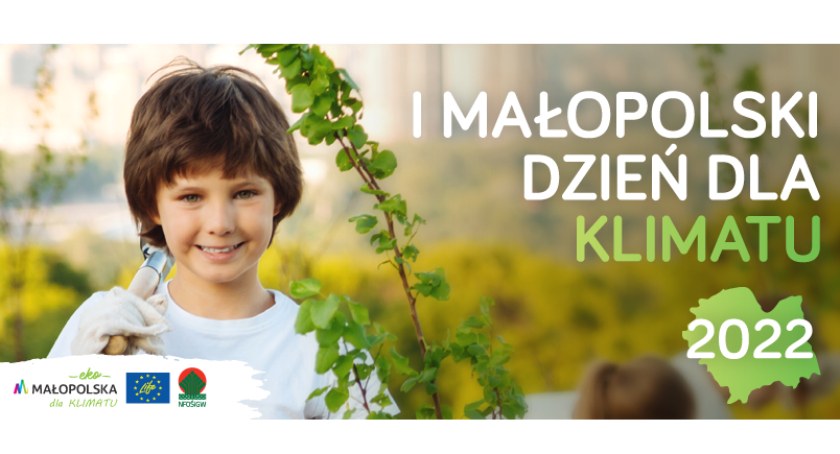 Będą sadzić sosnę w Baligówce - I Małopolski Dzień dla Klimatu