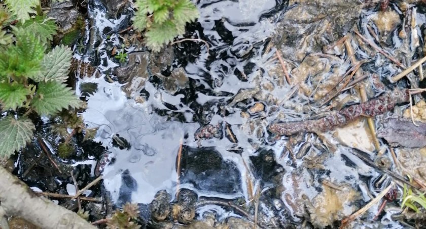 Śmierdzące ścieki ponownie nad rzeką w Nowym Targu