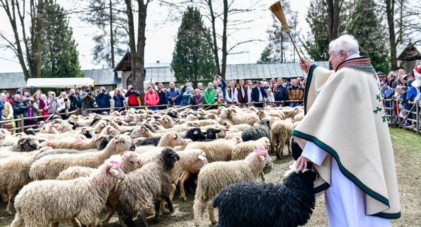Święto Bacowskie w Ludźmierzu - dotacja dla baców przekazana