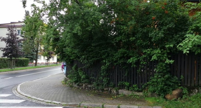 Utrzymanie zieleni przydrożnej należy do obowiązków zarządcy drogi i właściciela nieruchomości