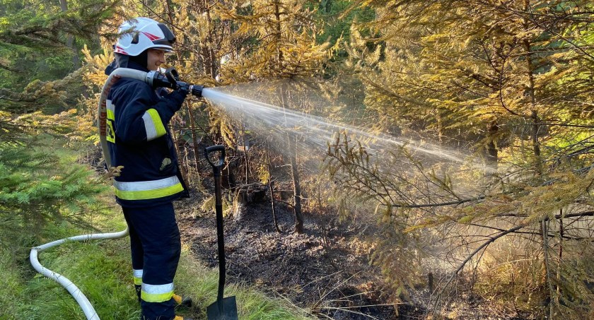 Pożar lasu w Starem Bystrem