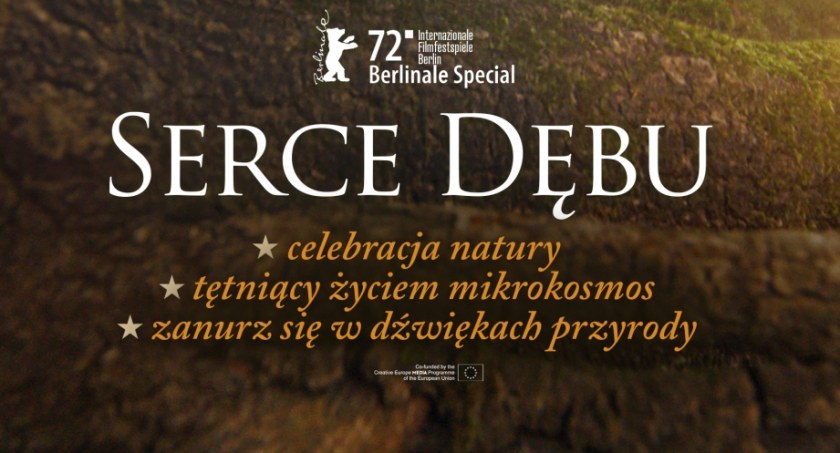 Serce dębu w Kinie MCK Nowy Targ
