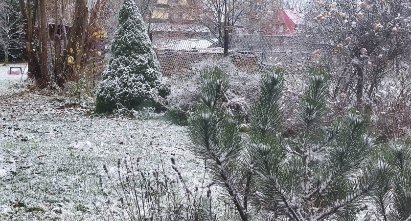 Pierwszy śnieg - zrobiło się biało