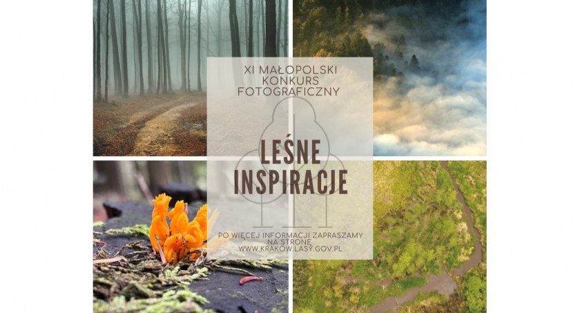 Wyłoniono laureatów małopolskiego konkursu fotograficznego – gala rozdania nagród w grudniu.