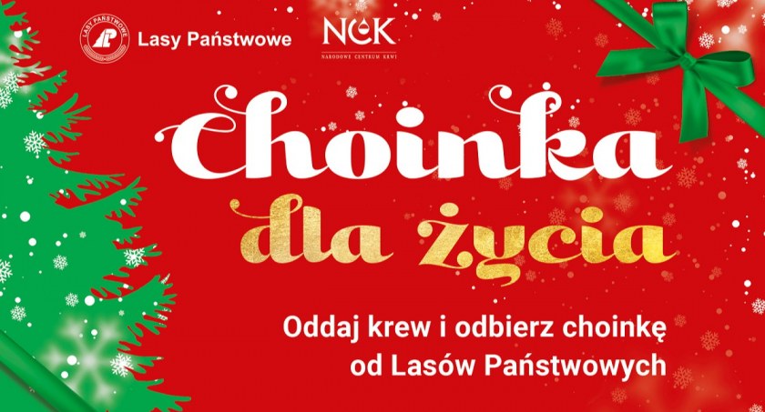 14 grudnia akcja 