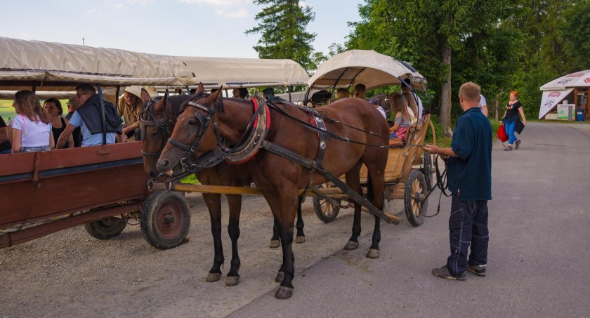 Przejażdżka bryczką Zakopane – lato/zima