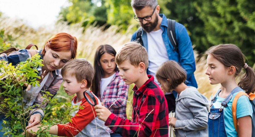 Wiosna w szkole - pomysły na projekty edukacyjne