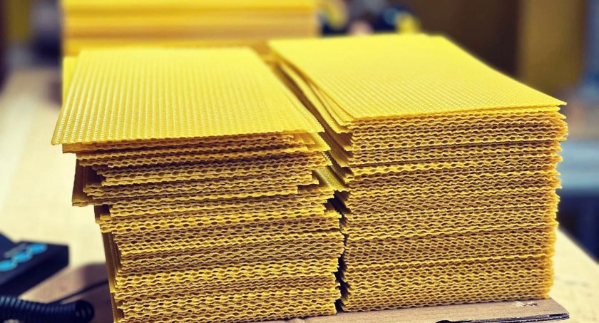 Wszystko co warto wiedzieć na temat węzy pszczelej - jak znaleźć najlepszego producenta?