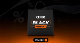 Jak bezpiecznie robić zakupy online podczas Black Friday 2024?