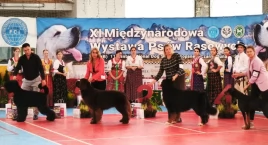 Rozpoczęła się XI Międzynarodowa Wystawa Psów Rasowy…