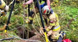 Strażacy z Kościeliska interweniowali w nietypowej s…