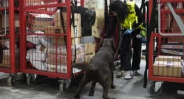 Policja i KAS przechwyciły narkotyki w przesyłkach. Akcja „Kryształ” przyniosła kolejne efekty