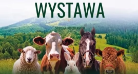 Ludźmierz ponownie stanie się stolicą hodowców. Prze&hellip;