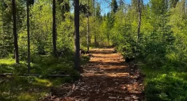 Park Bioróżnorodności nabiera kształtów - powstaje z&hellip;