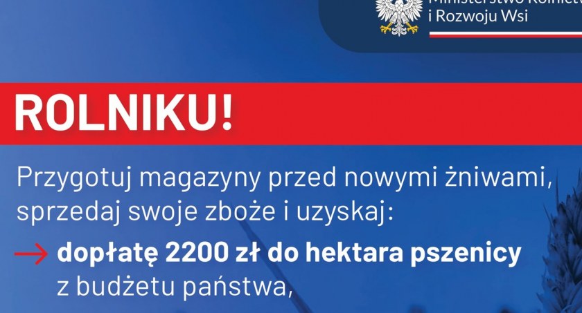 Ważna informacja dla rolników. Sprzedając swoje zboże w celu przygotowania magazynów na nowe plony, można ubiegać się o dopłatę z budżetu państwa