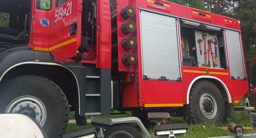 Najpierw pies, potem sarna, a na koniec kot. To był dzień nietypowych strażackich interwencji