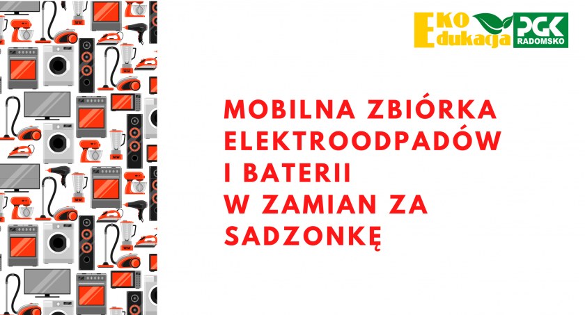 PGK zaprasza do akcji, w której elektroodpady można wymienić na sadzonkę