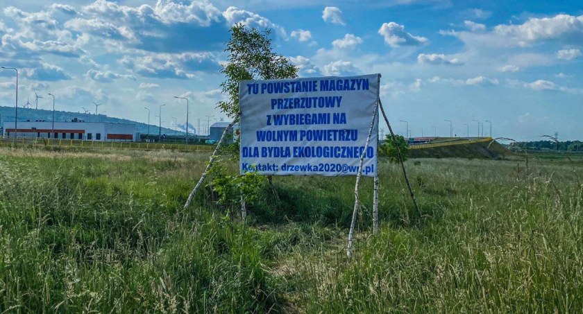 Zbijają ceny działek czy inwestują? Burmistrz Kamieńska: - Radzimy mieszkańcom, żeby poczekali